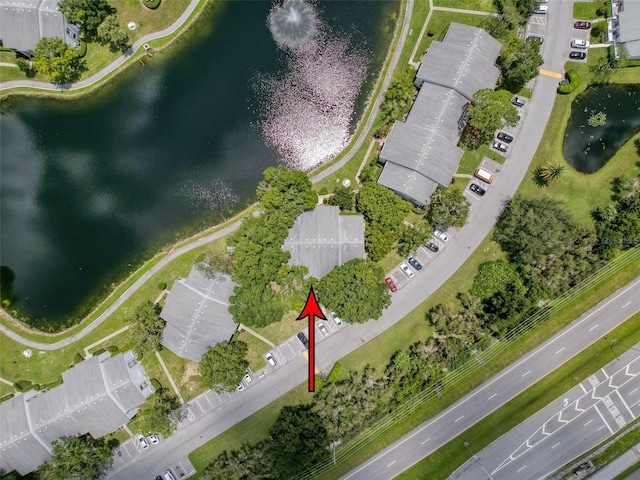 1135 Pine Ridge Cir W Unit A1, Tarpon Springs, FL 34688 - photo 27