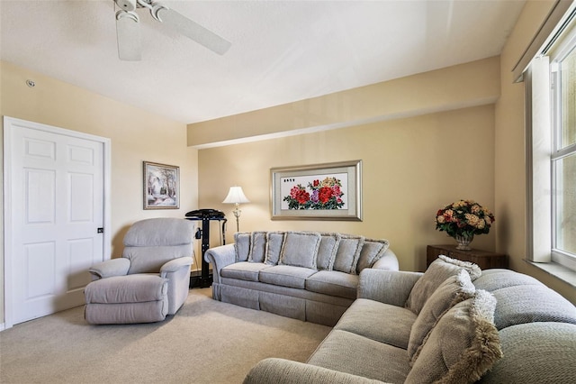 16750 Gulf Blvd Unit 414, North Redington Beach, FL 33708 - photo 29