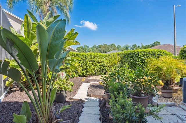 10020 Cypress Shadow Ave, Tampa, FL 33647 - photo 40