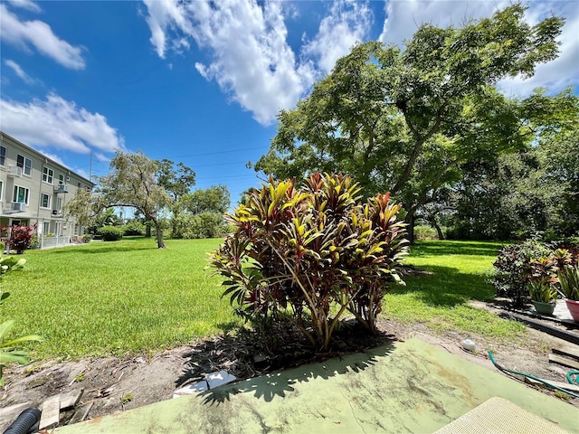 2462 Brazilia Dr Unit 20, Clearwater, FL 33763 - photo 23