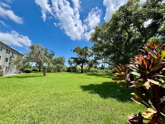 2462 Brazilia Dr Unit 20, Clearwater, FL 33763 - photo 24