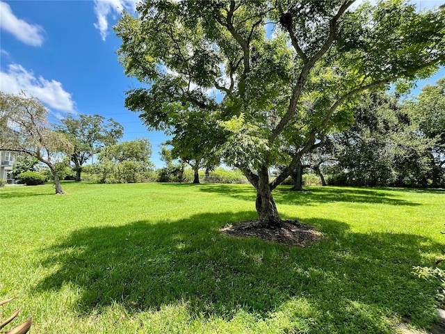 2462 Brazilia Dr Unit 20, Clearwater, FL 33763 - photo 25