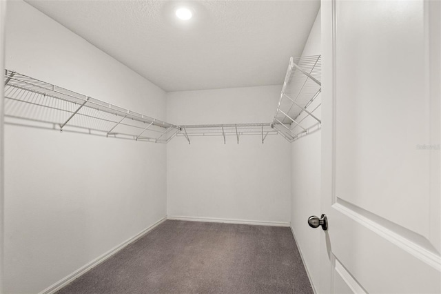 238 Argyll Dr, Spring Hill, FL 34609 - photo 29