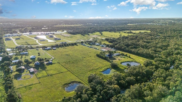 5160 Jim Davis Rd, Parrish, FL 34219 - photo 34