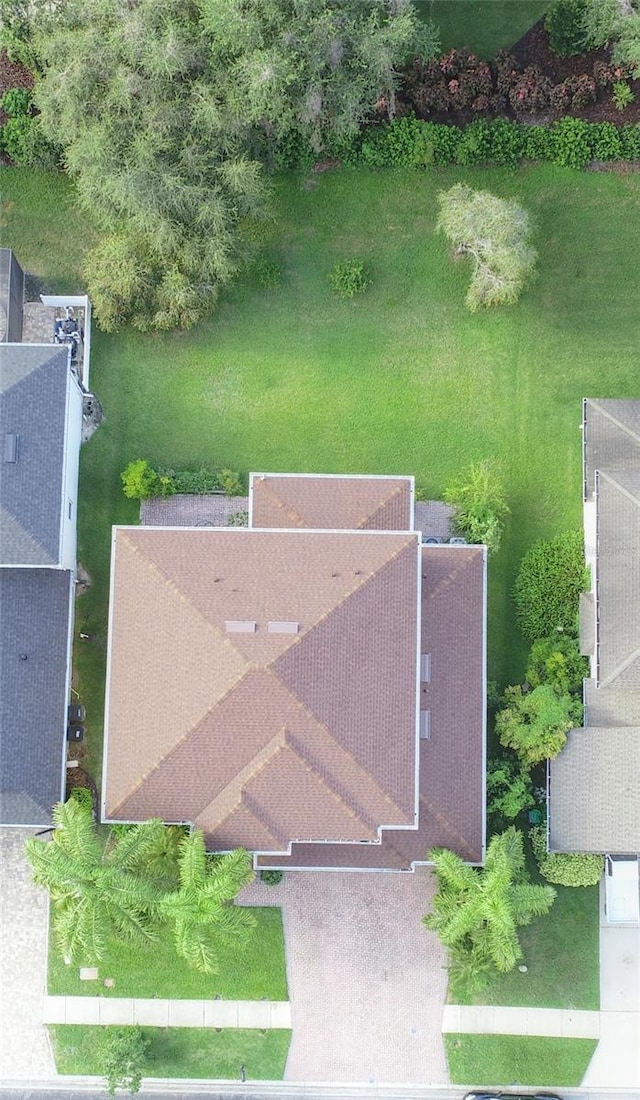 27339 Silver Thatch Dr, Wesley Chapel, FL 33544 - photo 4