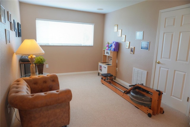 27339 Silver Thatch Dr, Wesley Chapel, FL 33544 - photo 17