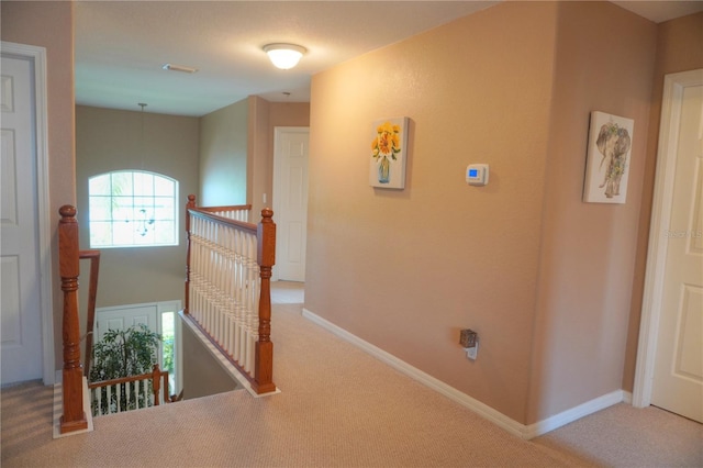 27339 Silver Thatch Dr, Wesley Chapel, FL 33544 - photo 18