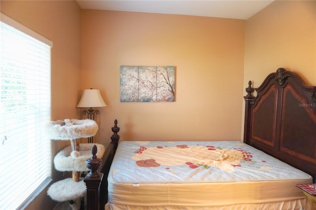 27339 Silver Thatch Dr, Wesley Chapel, FL 33544 - photo 24
