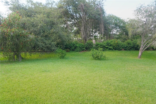 27339 Silver Thatch Dr, Wesley Chapel, FL 33544 - photo 31
