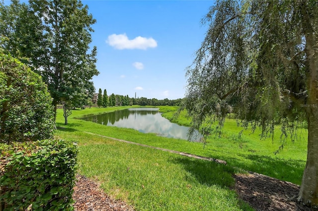 16431 Kingletridge Ave, Lithia, FL 33547 - photo 5
