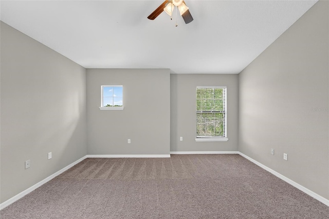 16431 Kingletridge Ave, Lithia, FL 33547 - photo 28