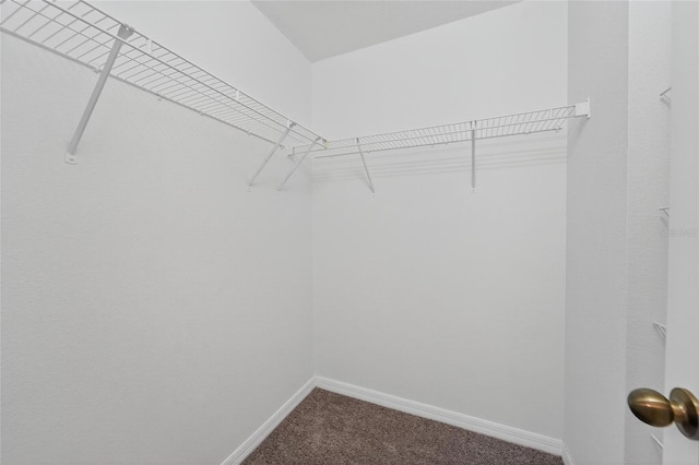 16431 Kingletridge Ave, Lithia, FL 33547 - photo 63