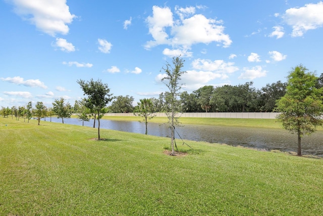 278 Mangrove Shade Cir, Apollo Beach, FL 33572 - photo 30