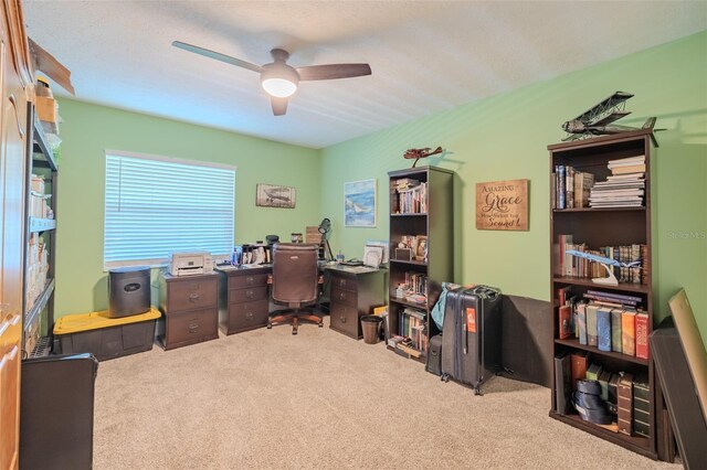 4744 Barry Dr, Land O Lakes, FL 34639 - photo 27