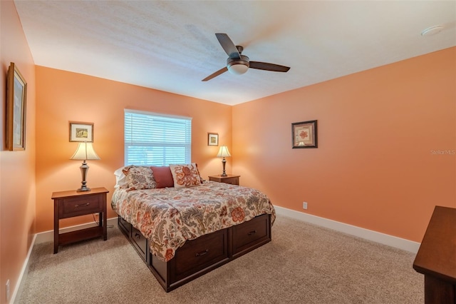 4744 Barry Dr, Land O Lakes, FL 34639 - photo 31