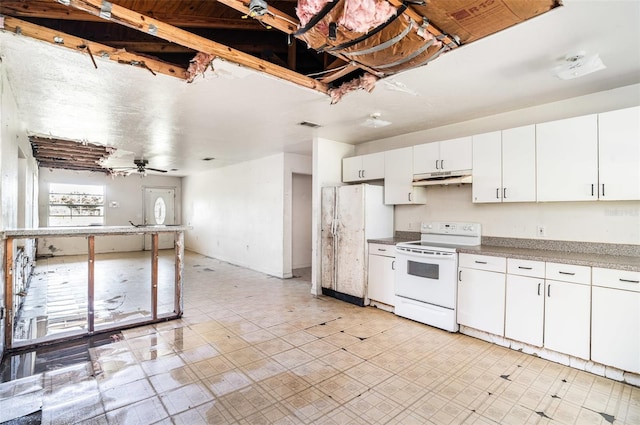 2208 1st Ave E, Palmetto, FL 34221 - photo 6