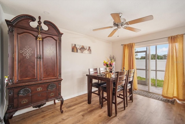 8012 Savannah Sunset Ln, Tampa, FL 33615 - photo 7