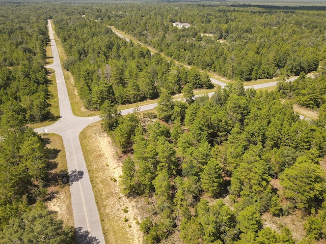 Farmington Dr, Chipley, FL 32428 - photo 2