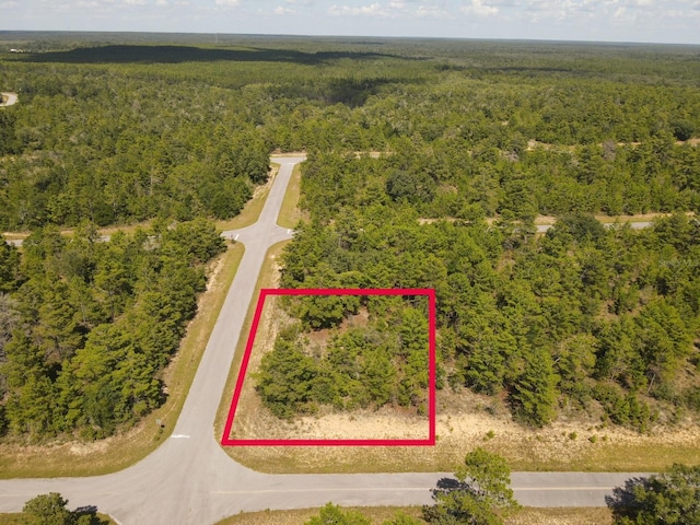Farmington Dr, Chipley, FL 32428 - photo 4