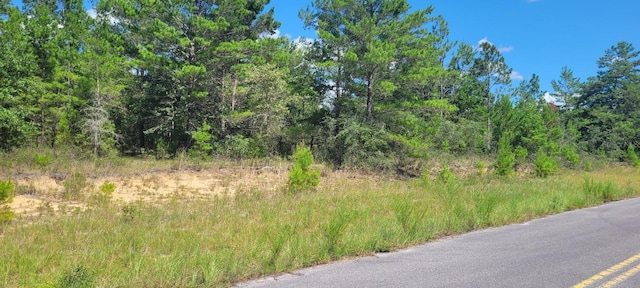 Farmington Dr, Chipley, FL 32428 - photo 7