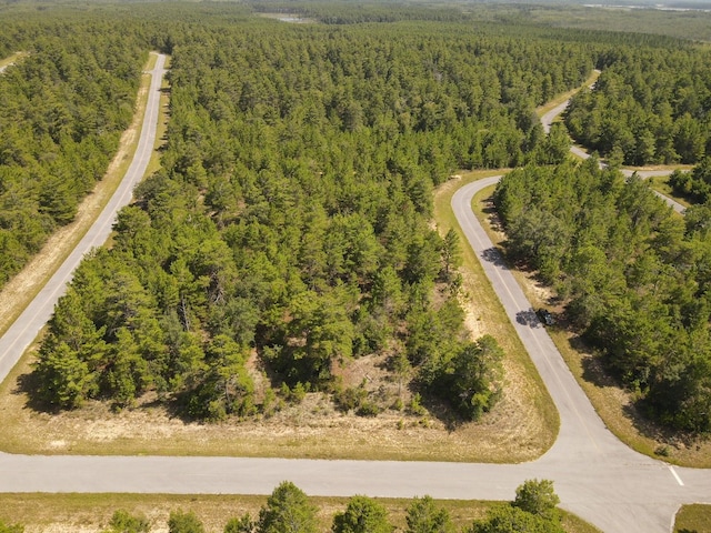 Farmington Dr, Chipley, FL 32428 - photo 8