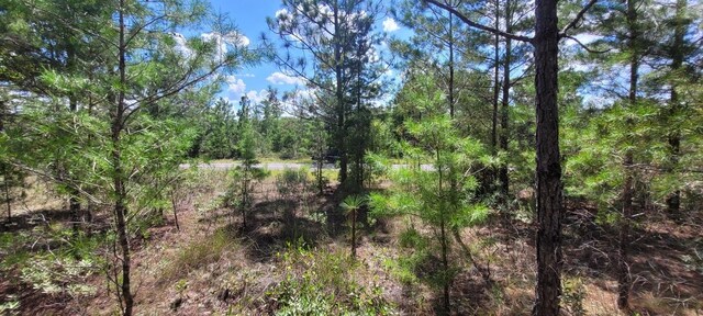 Farmington Dr, Chipley, FL 32428 - photo 9