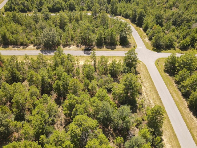 Farmington Dr, Chipley, FL 32428 - photo 10