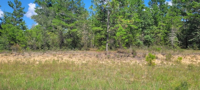 Farmington Dr, Chipley, FL 32428 - photo 11