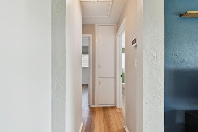 6524 14th St N, Saint Petersburg, FL 33702 - photo 24