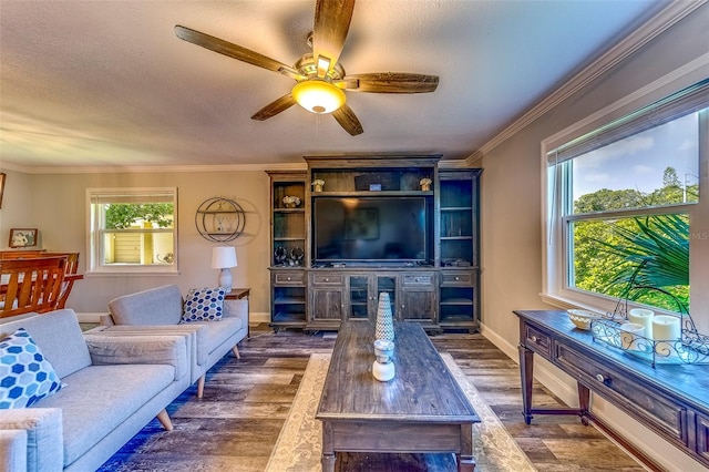 2815 Rampart Cir, Clearwater, FL 33761 - photo 15