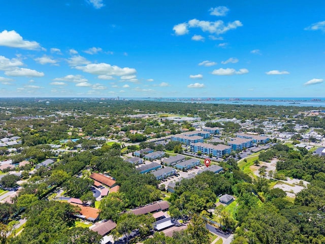 1207 Sunset Ln, Dunedin, FL 34698 - photo 38