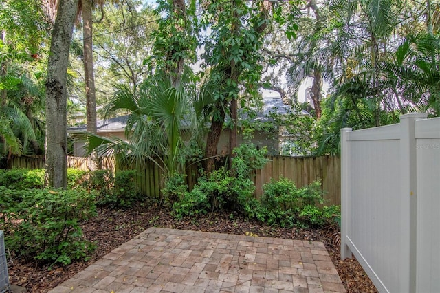 3505 S Macdill Ave Unit 6, Tampa, FL 33629 - photo 43