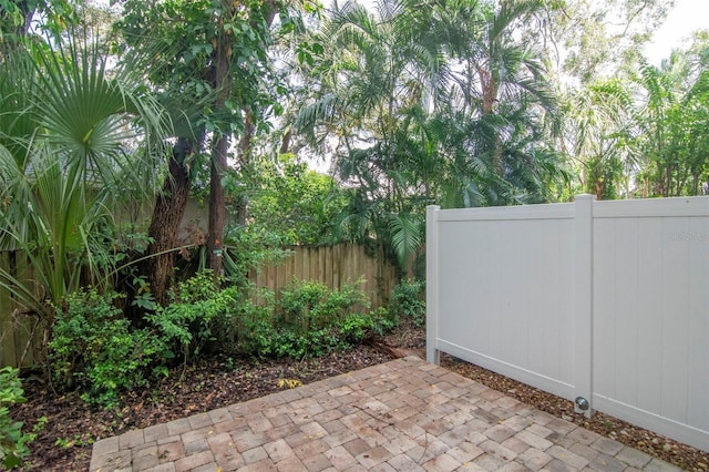 3505 S Macdill Ave Unit 6, Tampa, FL 33629 - photo 44