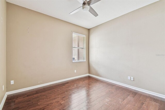 4508 Fieldview Cir, Wesley Chapel, FL 33545 - photo 35