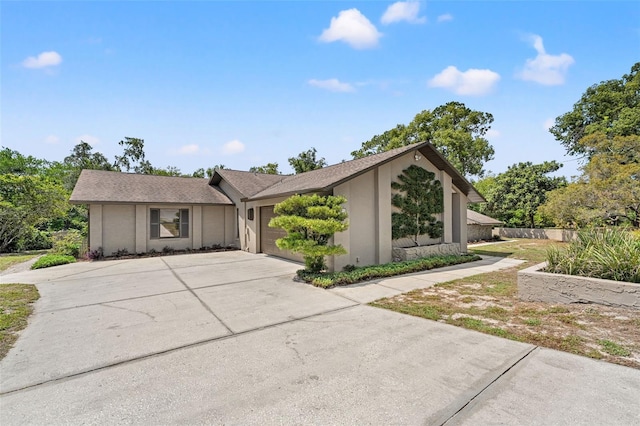 6230 Dorset Rd, Spring Hill, FL 34608 - photo 3