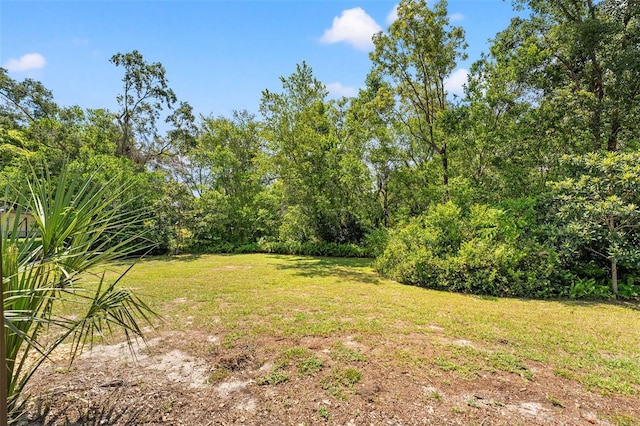 6230 Dorset Rd, Spring Hill, FL 34608 - photo 43