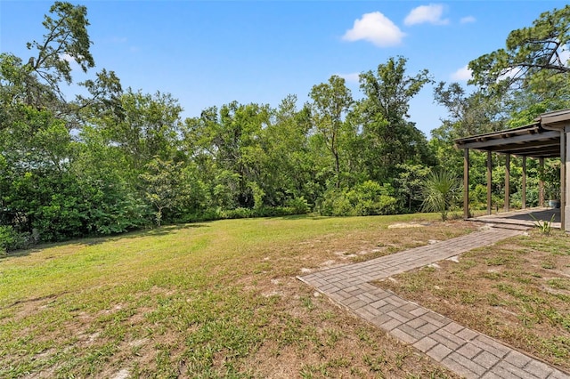 6230 Dorset Rd, Spring Hill, FL 34608 - photo 44