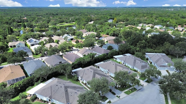6077 Sandhill Ridge Dr, Lithia, FL 33547 - photo 10
