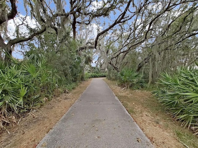 6077 Sandhill Ridge Dr, Lithia, FL 33547 - photo 49