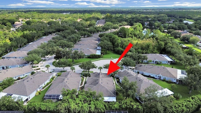 6077 Sandhill Ridge Dr, Lithia, FL 33547 - photo 54