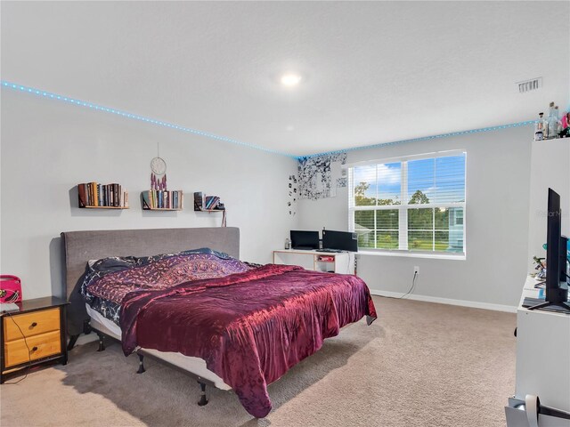 16636 Windmill Forge Pass, Wimauma, FL 33598 - photo 19