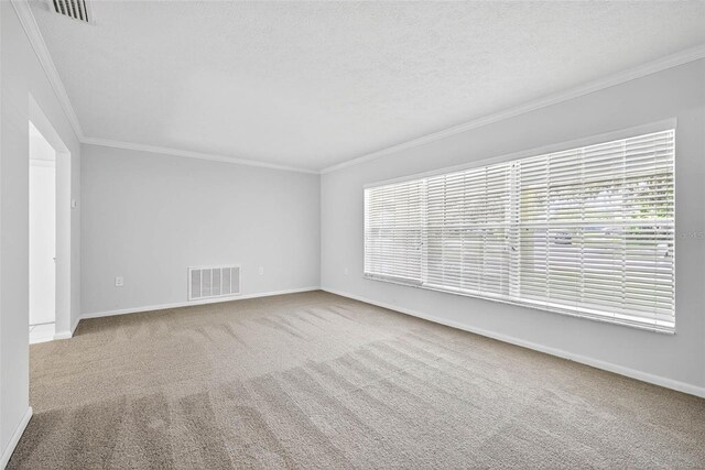 401 Woodcrest Rd, Brandon, FL 33511 - photo 5