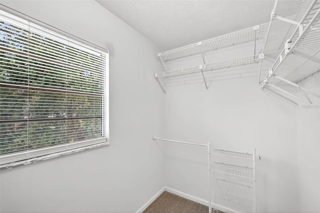 401 Woodcrest Rd, Brandon, FL 33511 - photo 42
