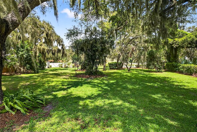 401 Woodcrest Rd, Brandon, FL 33511 - photo 48