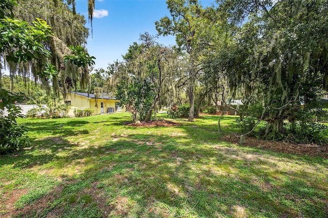 401 Woodcrest Rd, Brandon, FL 33511 - photo 51