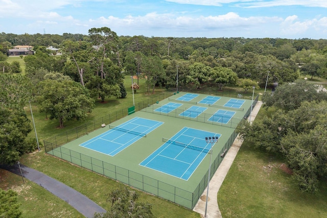 828 Lakeside Ter, Palm Harbor, FL 34683 - photo 36