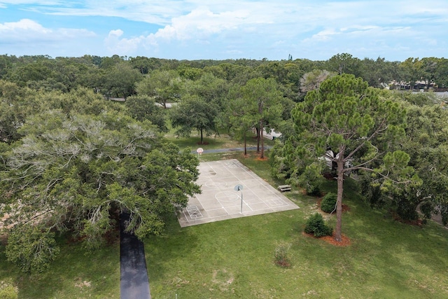 828 Lakeside Ter, Palm Harbor, FL 34683 - photo 37