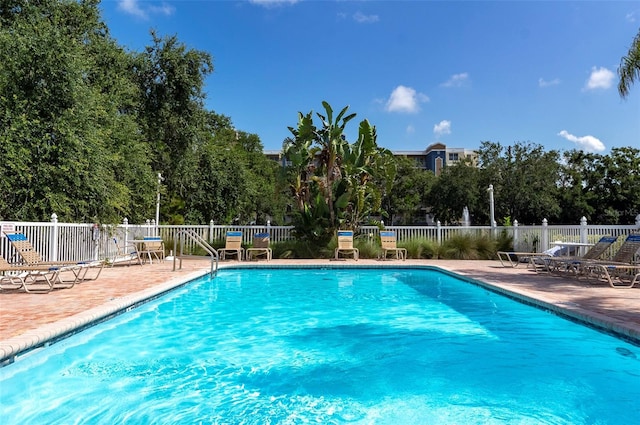 1050 Starkey Rd Unit 208, Largo, FL 33771 - photo 28
