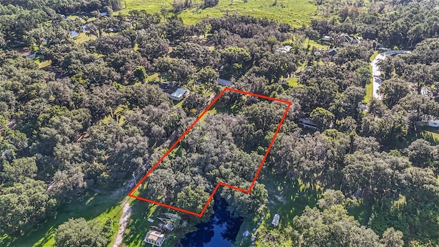 8807 Overlook Dr, Wesley Chapel, FL 33545 - photo 4