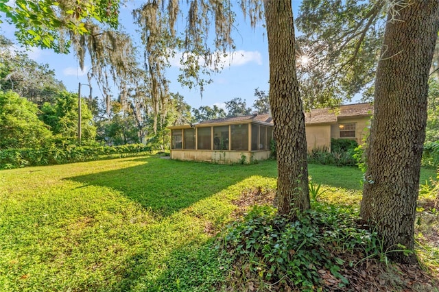 8807 Overlook Dr, Wesley Chapel, FL 33545 - photo 31
